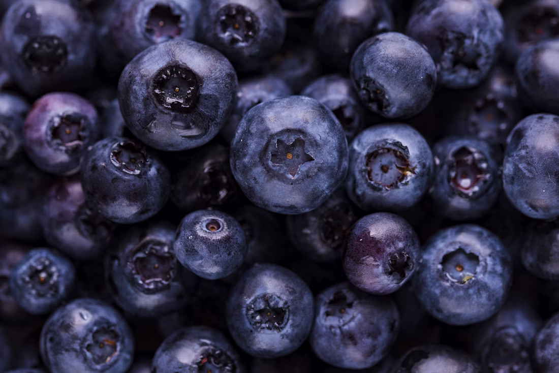 lung health diet plan antioxidant foods by SwasthaRaho